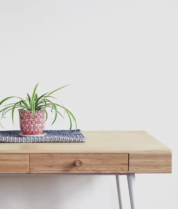 FORTE Porcelain